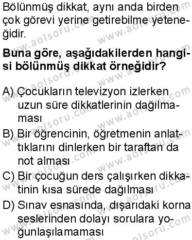 Seçmeli Psikoloji 1 Dersi 2025-2026 yılı 2. Dönem sınavı 9. Soru