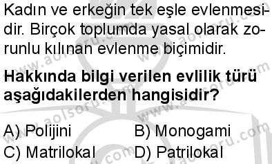 Seçmeli Sosyoloji 2 Dersi 2025-2026 yılı 2. Dönem sınavı 6. Soru