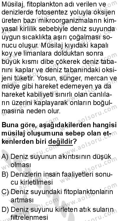 Kimya 4 Dersi 2025-2026 yılı 2. Dönem sınavı 8. Soru