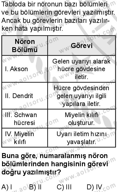 Seçmeli Biyoloji 1 Dersi 2025-2026 yılı 2. Dönem sınavı 1. Soru