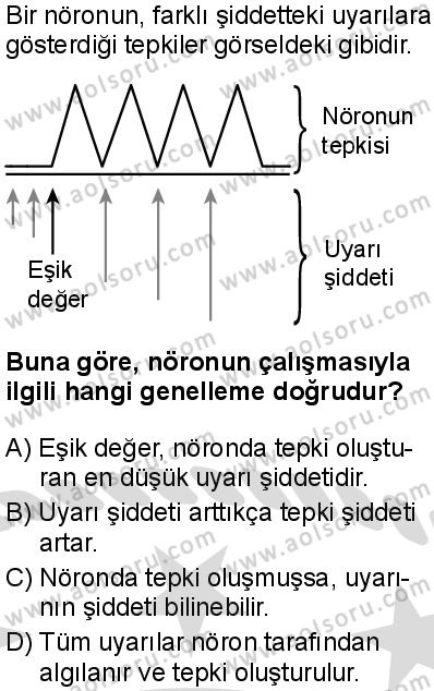 Seçmeli Biyoloji 1 Dersi 2025-2026 yılı 2. Dönem sınavı 2. Soru