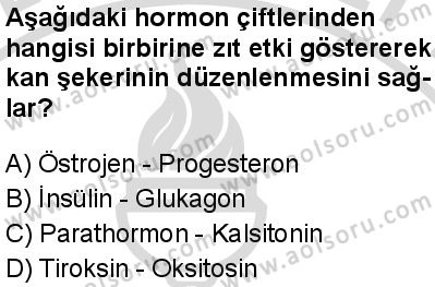 Seçmeli Biyoloji 1 Dersi 2025-2026 yılı 2. Dönem sınavı 3. Soru