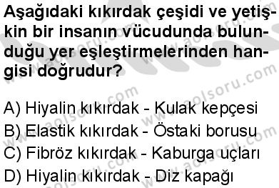 Seçmeli Biyoloji 1 Dersi 2025-2026 yılı 2. Dönem sınavı 5. Soru