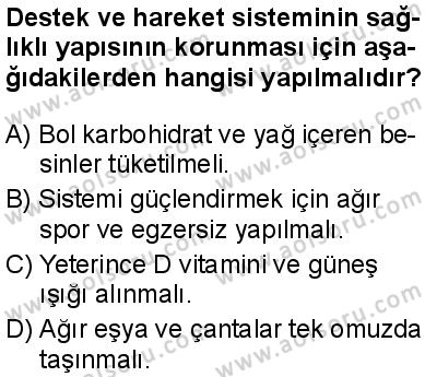 Seçmeli Biyoloji 1 Dersi 2025-2026 yılı 2. Dönem sınavı 6. Soru