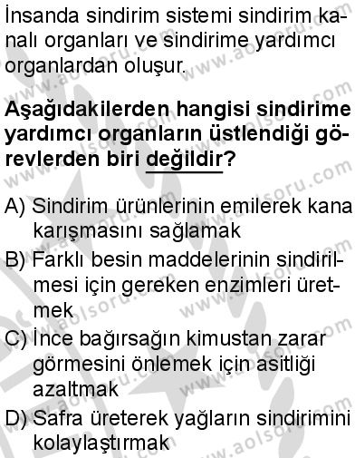 Seçmeli Biyoloji 1 Dersi 2025-2026 yılı 2. Dönem sınavı 7. Soru