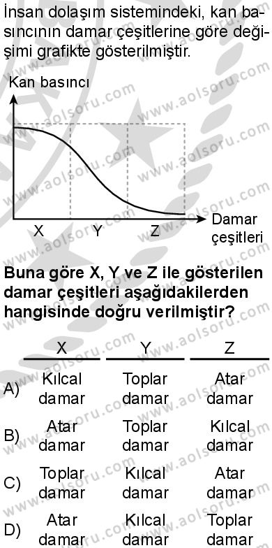 Seçmeli Biyoloji 1 Dersi 2025-2026 yılı 2. Dönem sınavı 8. Soru