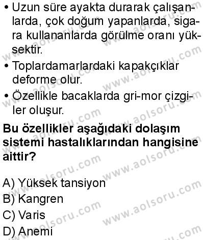 Seçmeli Biyoloji 1 Dersi 2025-2026 yılı 2. Dönem sınavı 9. Soru