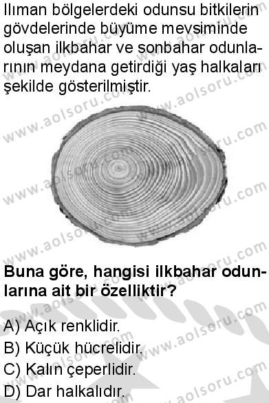 Seçmeli Biyoloji 4 Dersi 2025-2026 yılı 2. Dönem sınavı 2. Soru