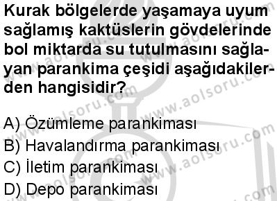 Seçmeli Biyoloji 4 Dersi 2025-2026 yılı 2. Dönem sınavı 3. Soru