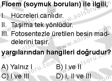 Seçmeli Biyoloji 4 Dersi 2025-2026 yılı 2. Dönem sınavı 4. Soru