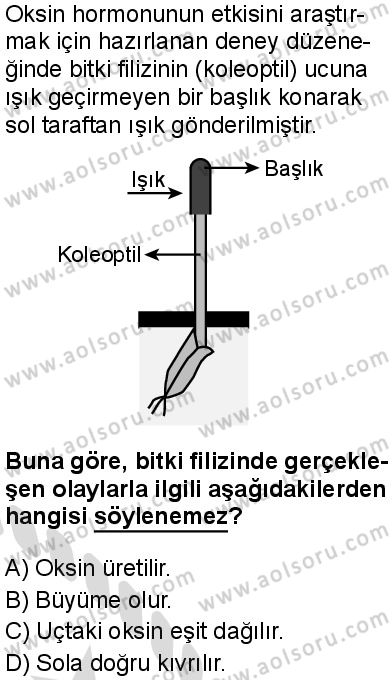 Seçmeli Biyoloji 4 Dersi 2025-2026 yılı 2. Dönem sınavı 5. Soru