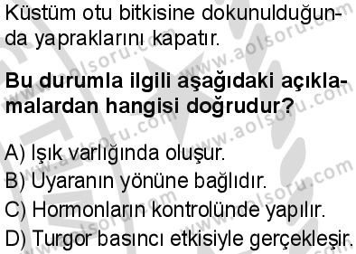 Seçmeli Biyoloji 4 Dersi 2025-2026 yılı 2. Dönem sınavı 6. Soru