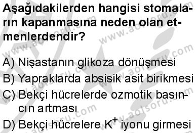Seçmeli Biyoloji 4 Dersi 2025-2026 yılı 2. Dönem sınavı 7. Soru
