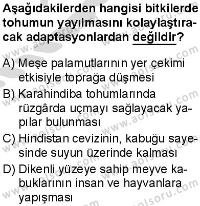 Seçmeli Biyoloji 4 Dersi 2025-2026 yılı 2. Dönem sınavı 8. Soru