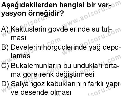 Seçmeli Biyoloji 4 Dersi 2025-2026 yılı 2. Dönem sınavı 9. Soru