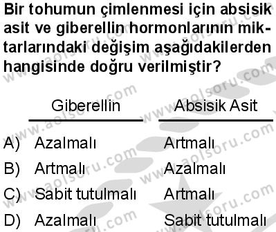 Seçmeli Biyoloji 4 Dersi 2025-2026 yılı 2. Dönem sınavı 10. Soru