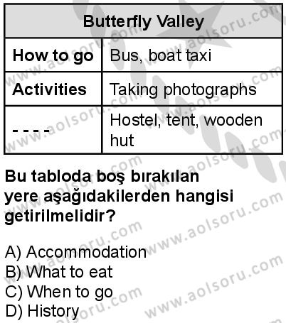İngilizce 6 Dersi 2025-2026 yılı 2. Dönem sınavı 10. Soru