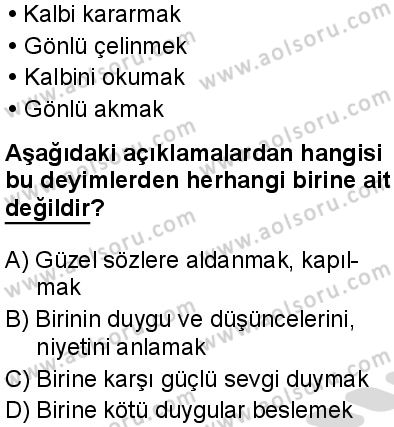 Türk Dili ve Edebiyatı 2 Dersi 2025-2026 yılı 2. Dönem sınavı 1. Soru