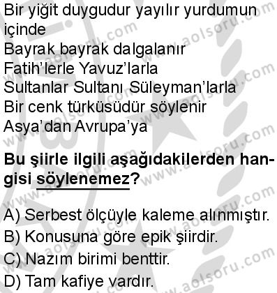 Türk Dili ve Edebiyatı 2 Dersi 2025-2026 yılı 2. Dönem sınavı 8. Soru
