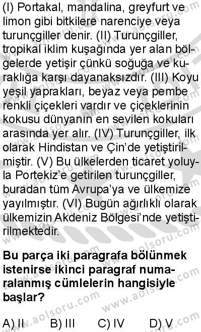 Türk Dili ve Edebiyatı 3 Dersi 2025-2026 yılı 2. Dönem sınavı 4. Soru
