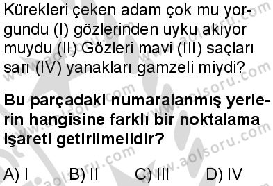 Türk Dili ve Edebiyatı 3 Dersi 2025-2026 yılı 2. Dönem sınavı 6. Soru