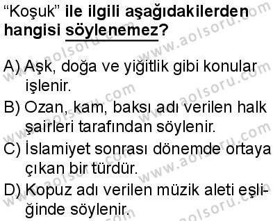Türk Dili ve Edebiyatı 3 Dersi 2025-2026 yılı 2. Dönem sınavı 9. Soru