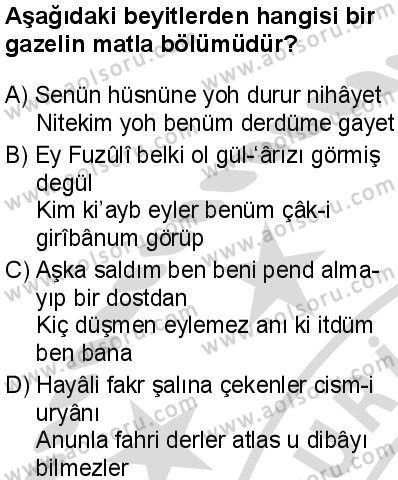 Türk Dili ve Edebiyatı 3 Dersi 2025-2026 yılı 2. Dönem sınavı 10. Soru