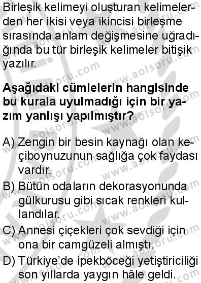Türk Dili ve Edebiyatı 5 Dersi 2025-2026 yılı 2. Dönem sınavı 5. Soru