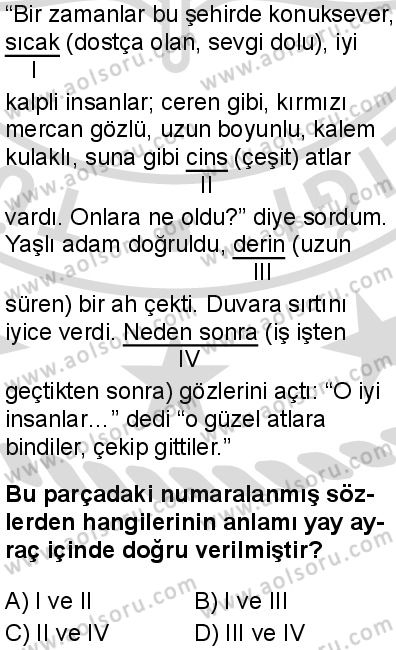 Türk Dili ve Edebiyatı 6 Dersi 2025-2026 yılı 2. Dönem sınavı 1. Soru