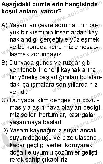 Türk Dili ve Edebiyatı 6 Dersi 2025-2026 yılı 2. Dönem sınavı 2. Soru