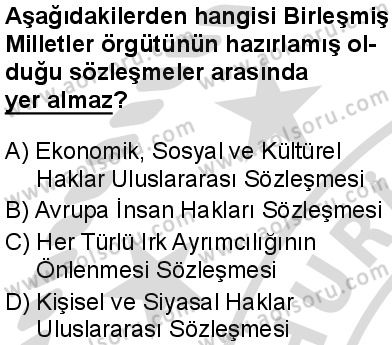 Seçmeli Demokrasi ve İnsan Hakları 2 Dersi 2025-2026 yılı 2. Dönem sınavı 2. Soru