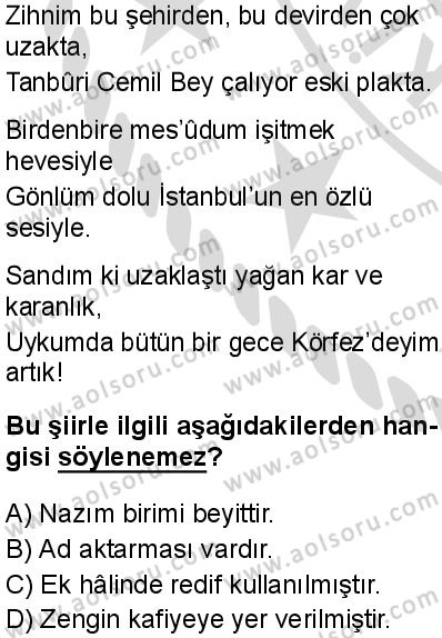 Seçmeli Türk Dili ve Edebiyatı 1 Dersi 2025-2026 yılı 2. Dönem sınavı 7. Soru