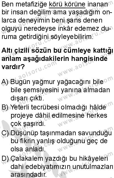 Seçmeli Türk Dili ve Edebiyatı 2 Dersi 2025-2026 yılı 2. Dönem sınavı 1. Soru