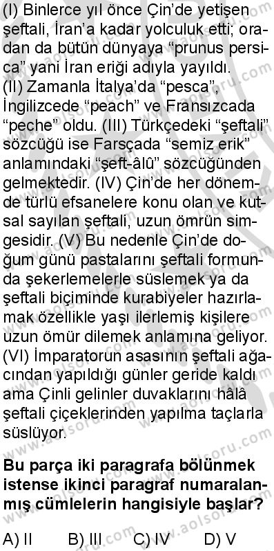 Seçmeli Türk Dili ve Edebiyatı 2 Dersi 2025-2026 yılı 2. Dönem sınavı 4. Soru