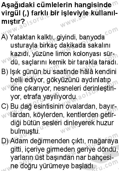Seçmeli Türk Dili ve Edebiyatı 2 Dersi 2025-2026 yılı 2. Dönem sınavı 10. Soru